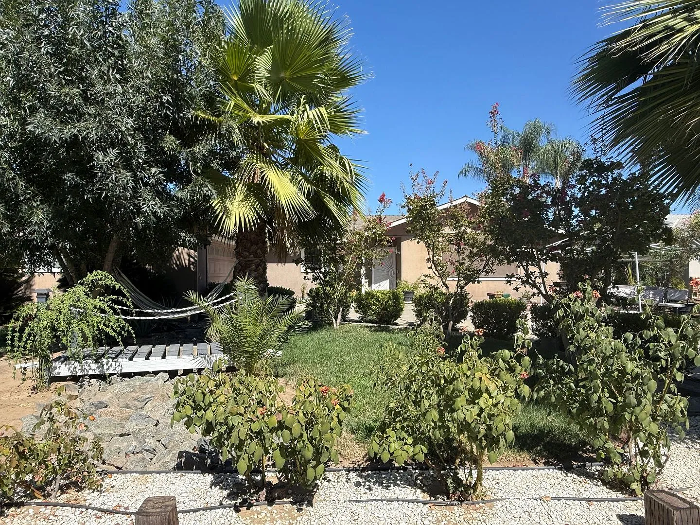 Spacious 3 Bedroom 2 Bath Home in Dinuba. — Photo 2