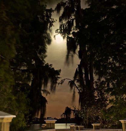 5th image of 13421 Blue Heron Beach Dr #1-0105