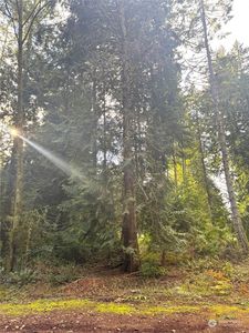 10529 105th Avenue Ct, Anderson Island, WA, 98303