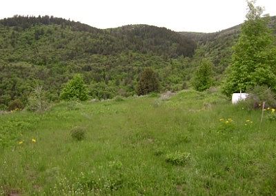 1st image of 109 N Bear River Blfs