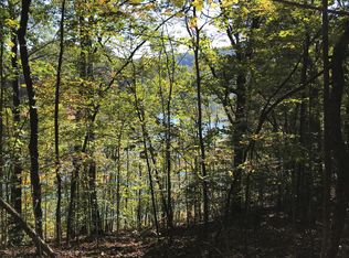 Dillon Ln, Caryville, TN 37714
