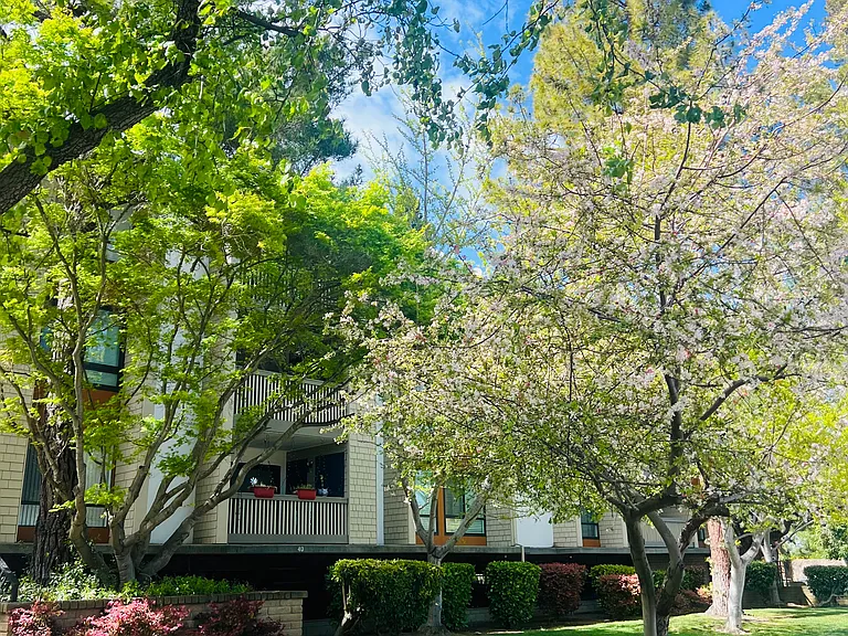 49 Showers Dr #A — Photo 18