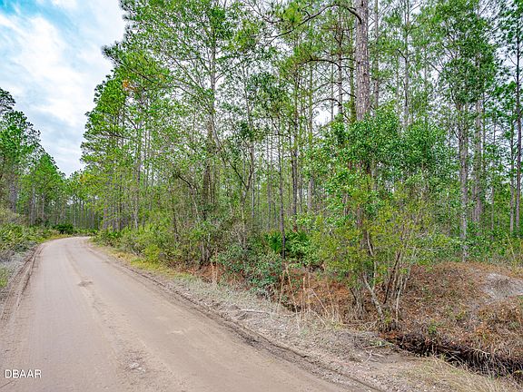 3rd image of 300 Volusian Forest Trl