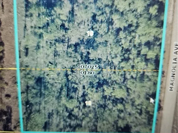 1011 Magnolia Ave, Lehigh Acres, FL 33972