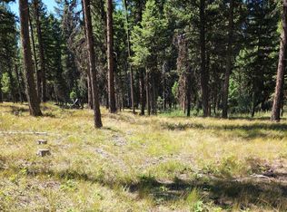 1245 Grandview Dr, Seeley Lake, MT 59868