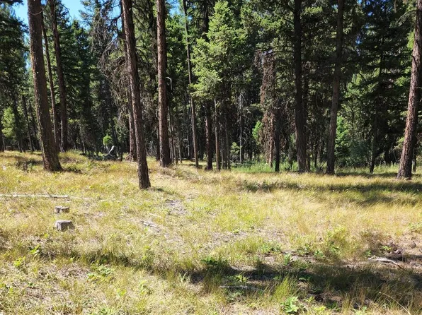 1245 Grandview Dr, Seeley Lake, MT 59868