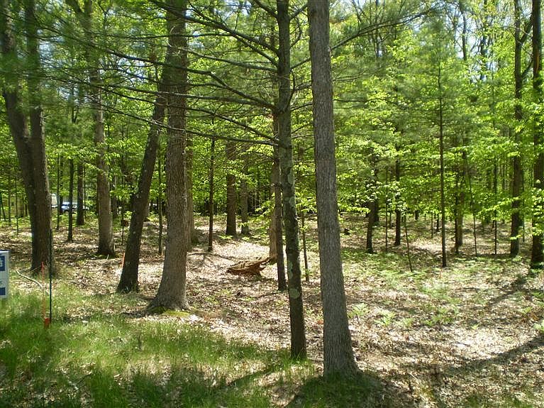 2nd image of W River Rd