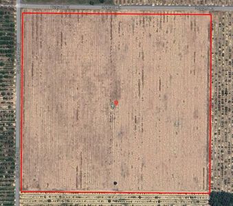 DOG YARD ROAD, Lake Wales, FL, 33898
