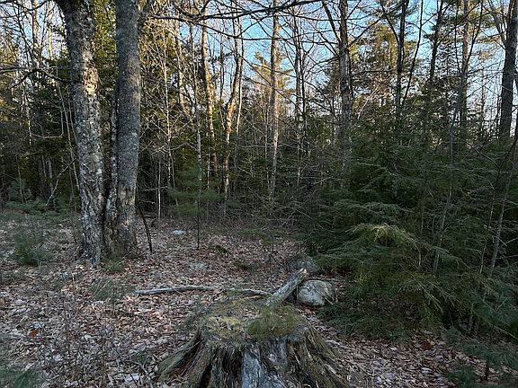 5th image of M7l31nelson Ridge Rd N