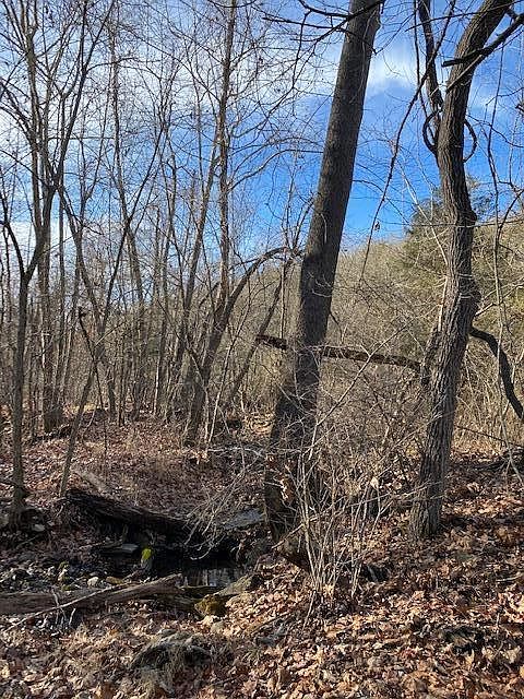 2nd image of Zinc Cutoff Rd