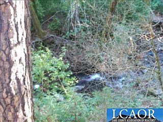 3rd image of 9438 Kelsey Creek Dr E