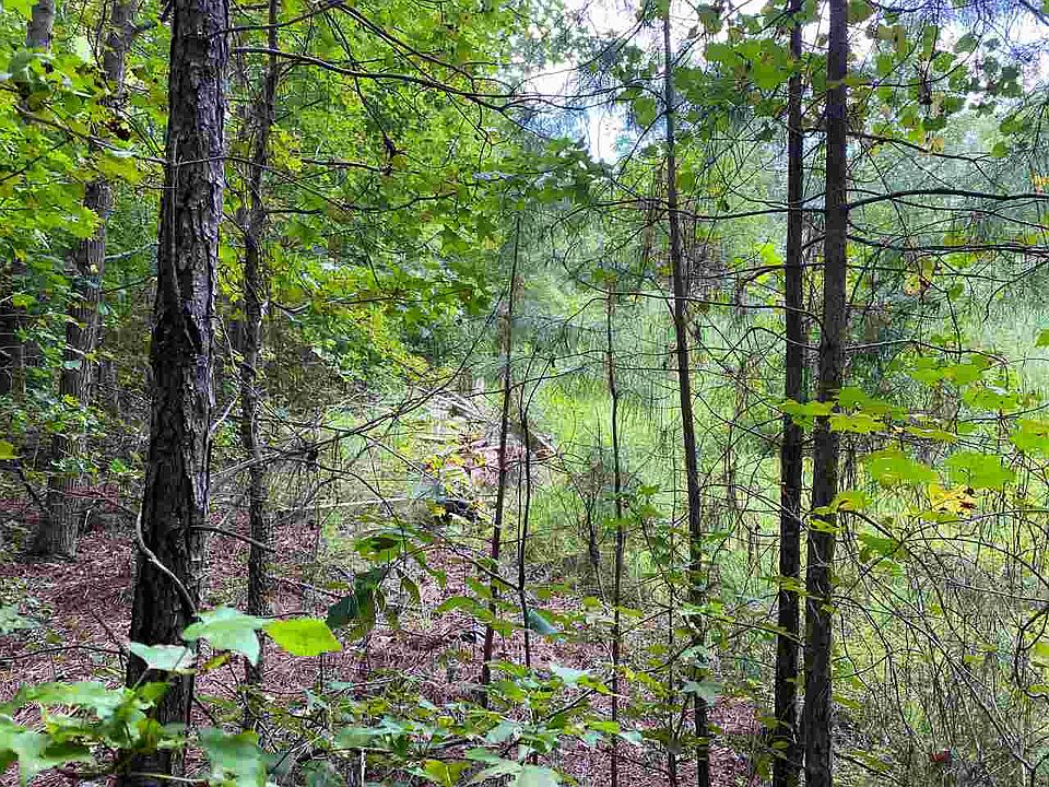 2nd image of LOT B3 Wild Fox Run Lot B3