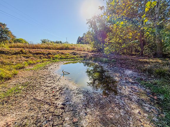 3rd image of 0 Chestnut Grove Rd