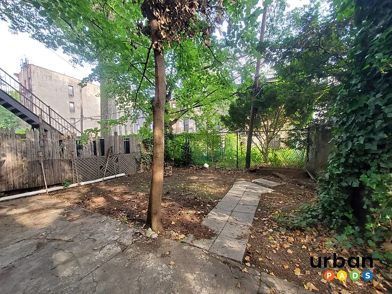 826 Halsey St #1A — Photo 17