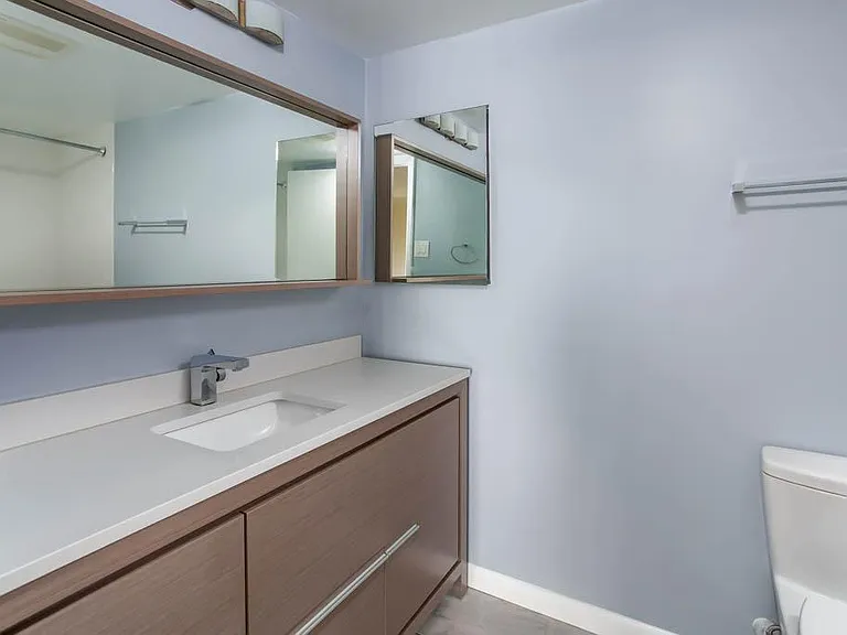 Master Bathroom sink