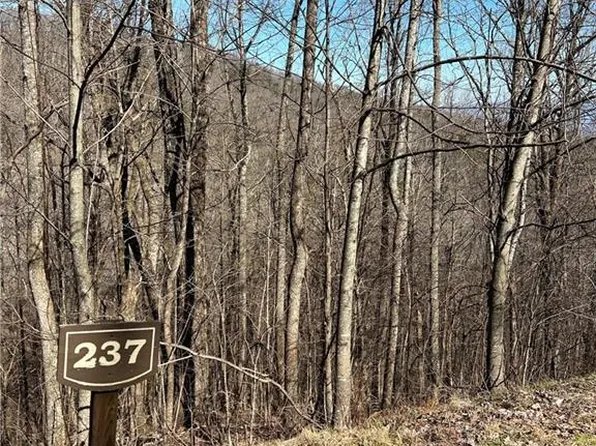 236&-237 Andes Rdg, Ellijay, GA 30536