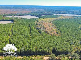 787 Woodyard Rd, Brooklet, GA 30415