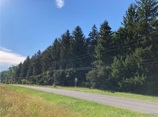 Brucker Rd #9, Akron, NY 14001