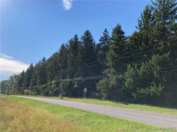 Brucker Rd #9, Akron, NY 14001