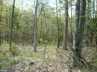 2 Spitz Ln, Basye, VA 22810