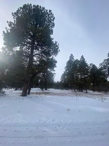 Badger Trl S LOT 430, Ridgway, CO, 81432