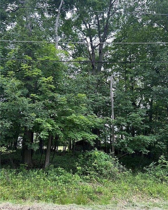 1st image of 198 Rosewood Ave