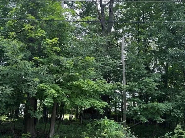 198 Rosewood Ave, Angola, NY 14006