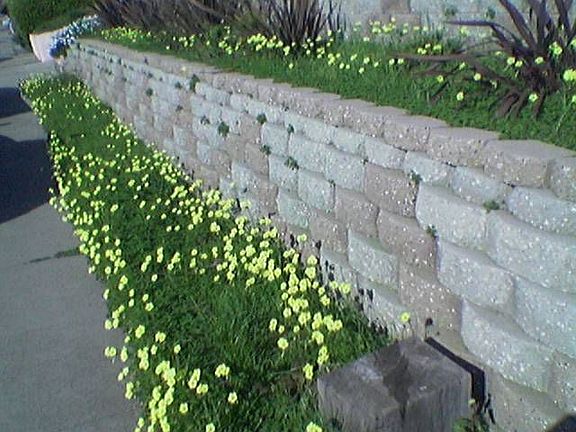 retaining walls