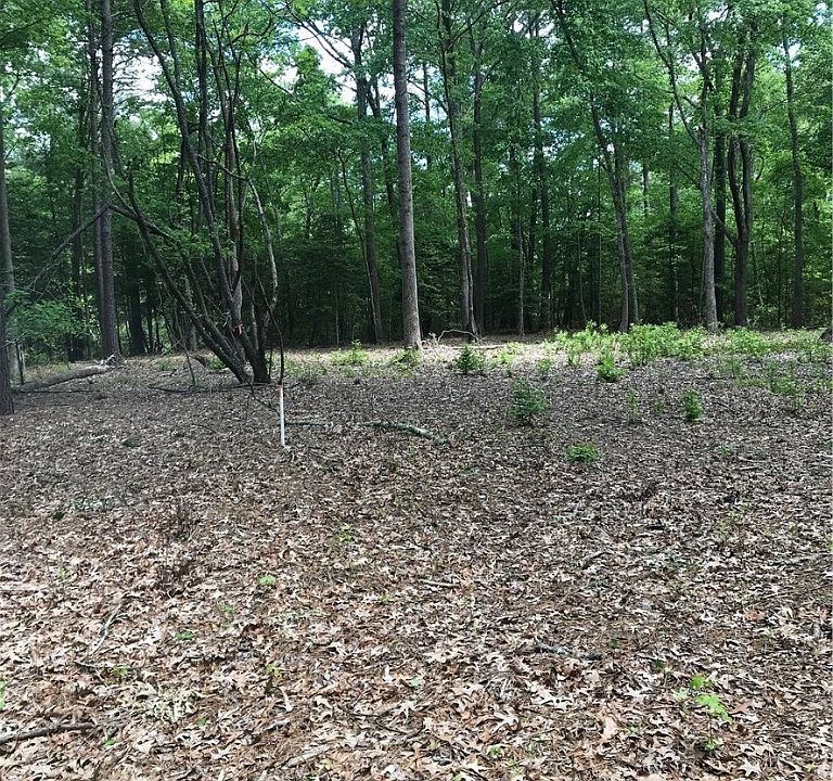 2nd image of Crockett Ln