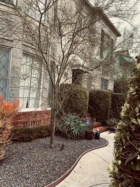 1 bed, 1100 sqft, $3,900 — Photo 3