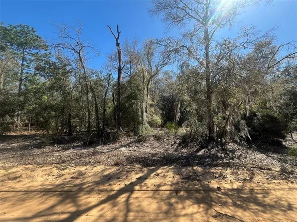 Kitty Ave #11, Interlachen, FL 32148