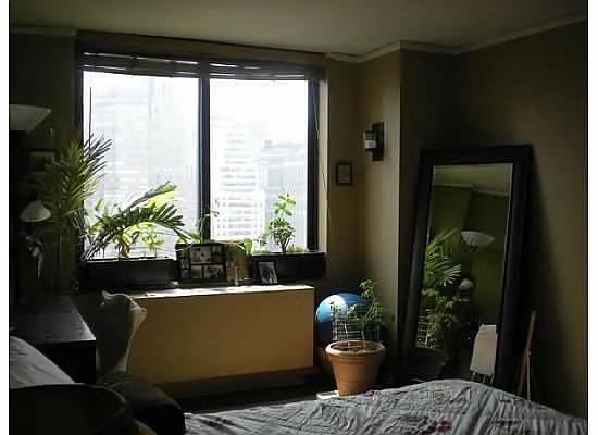 Rented by Town Residential | media 30