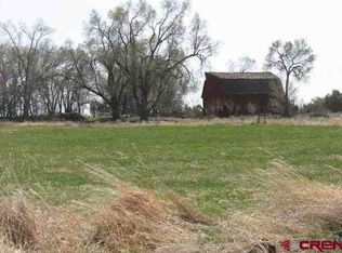 19004 2325th Rd, Cedaredge, CO 81413