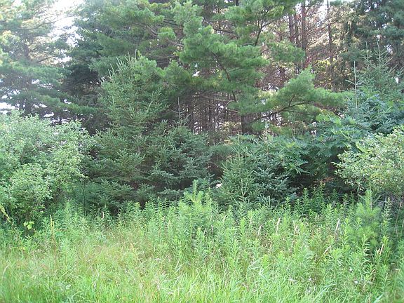 3rd image of LOT 4 Hainesville Rd
