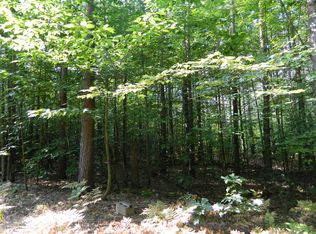 W North St #168, Walkerville, MI 49459