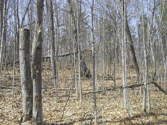 3rd image of 0 Tanager Trail