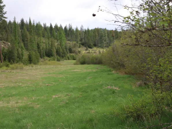 Elmer Loop Rd, Newport, WA 99156
