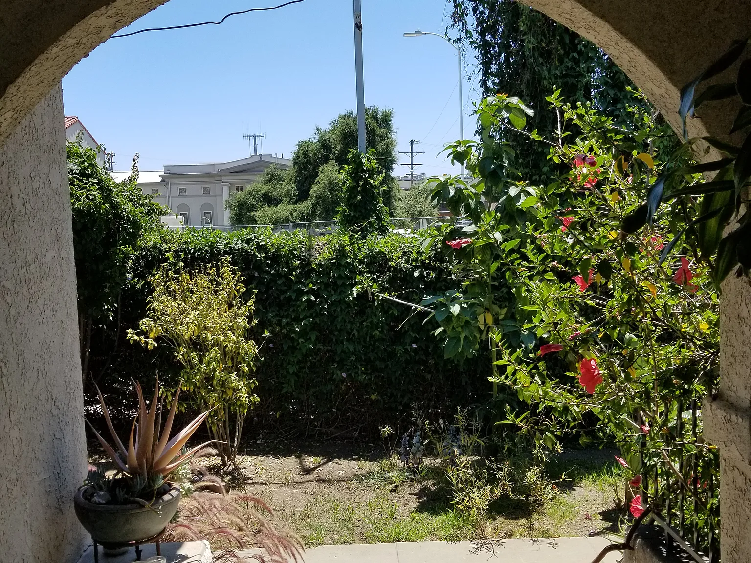 2 bed, 900 sqft, $3,150 — Photo 4