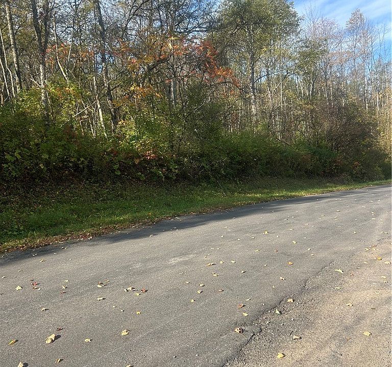 2nd image of Blue Rd Lot 5