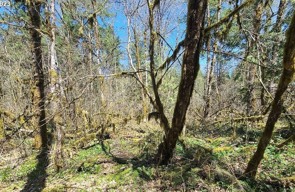 1st image of E Huckleberry Dr