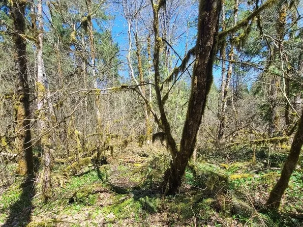 E Huckleberry Dr, Welches, OR 97067