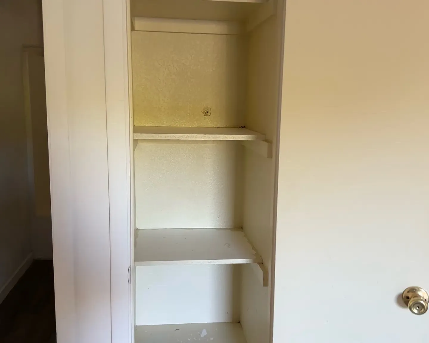 2 bed, 890 sqft, $1,250 — Photo 4