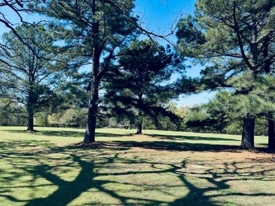 County Road 3357, Emory, TX, 75440