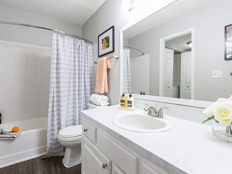 Northgreen at Carrollwood — Photo 12