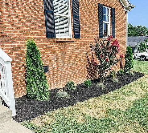 Newly Installed Landscaping