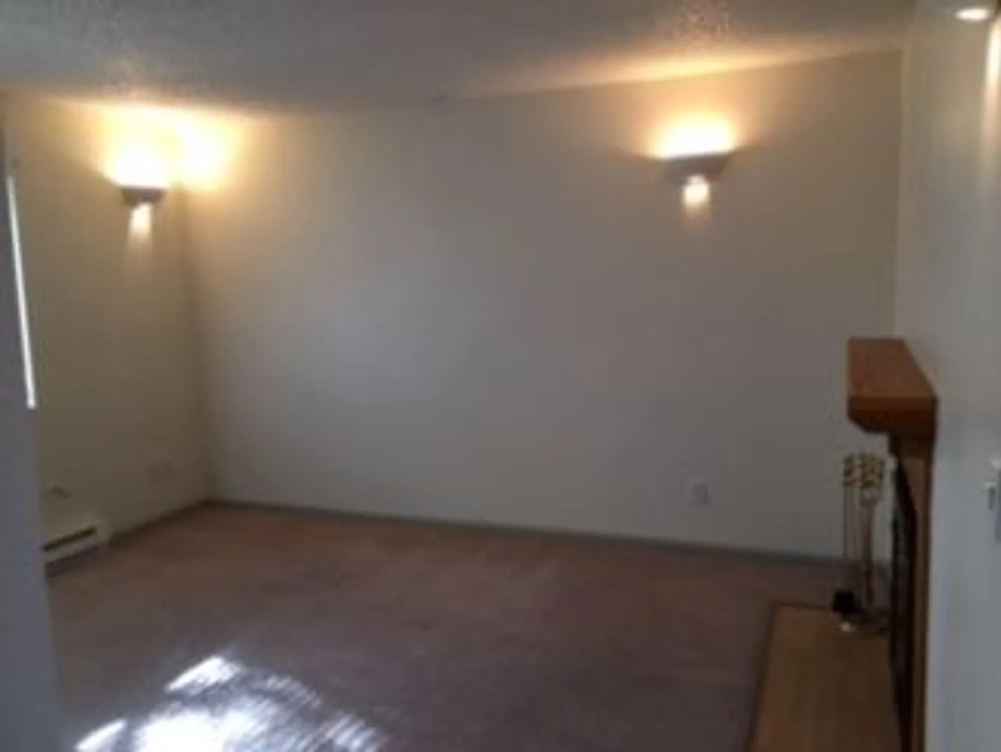 Cozy Fort Collins Living | 2 Bed, 1 Bath with Fireplace — Photo 3