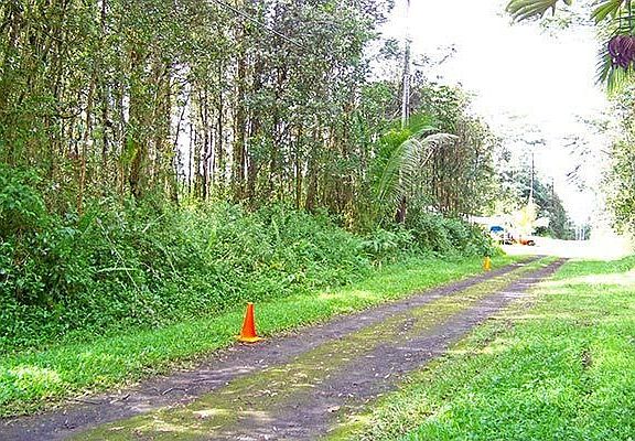 Lot 532 is to the left, approximately between the two orange cones.