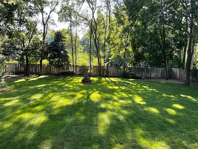 Fenced in back yard