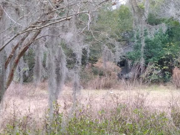3rd image of 2180 S Orange Blvd