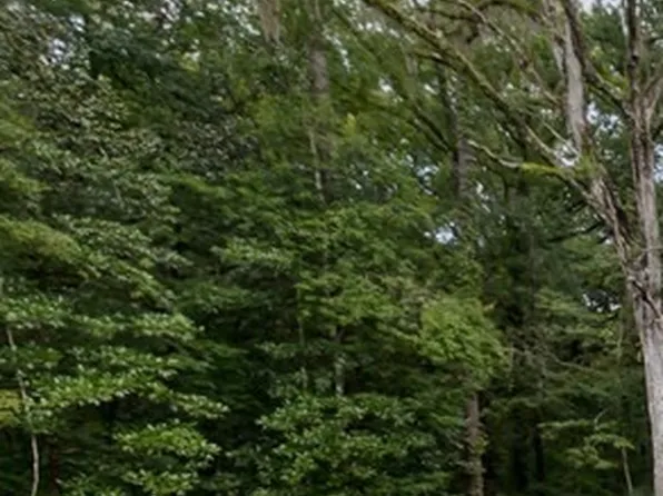 687 Saint Johns Rd, Hinesville, GA 31313